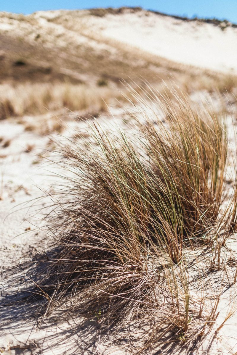 Photo de paysage, Dune du Pilat
