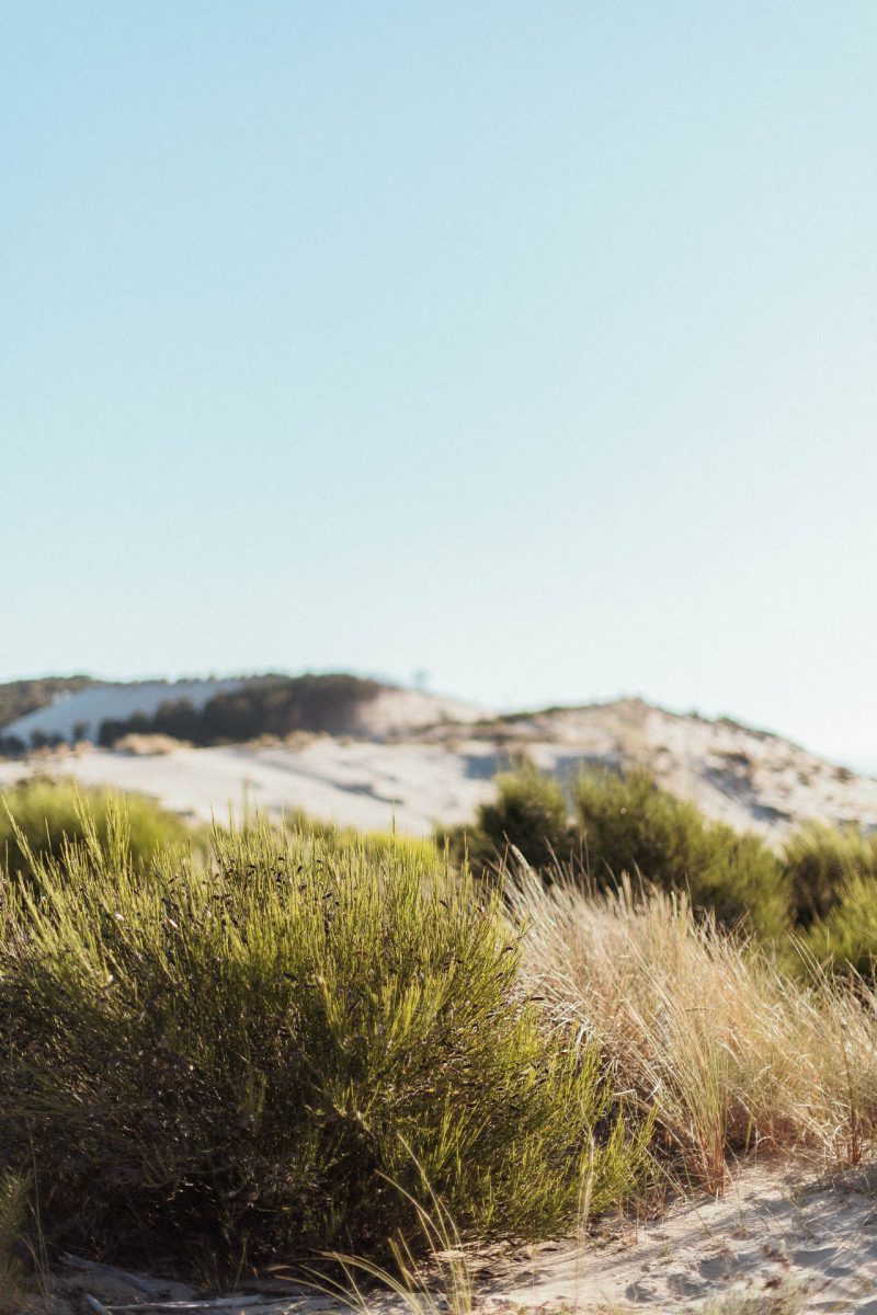 Photo de paysage, Dune du Pilat