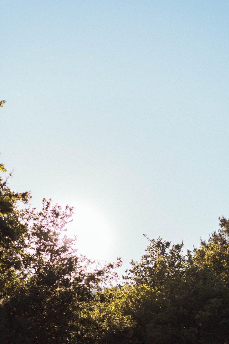 Photo de paysage, Dune du Pilat