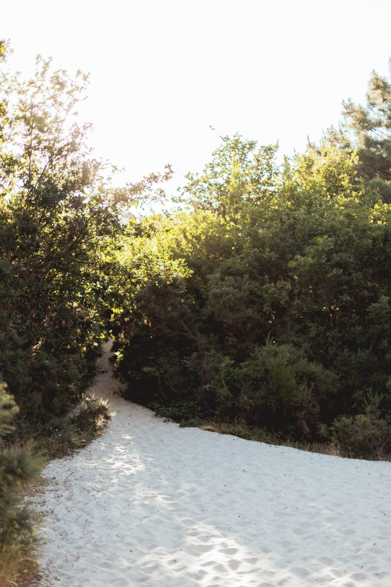 Passage secret vers la Dune du Pilat